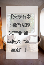 安康石泉：数智赋能兴产业 铺就振兴“新丝路”