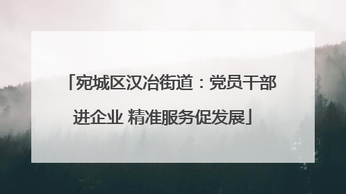 宛城区汉冶街道：党员干部进企业 精准服务促发展
