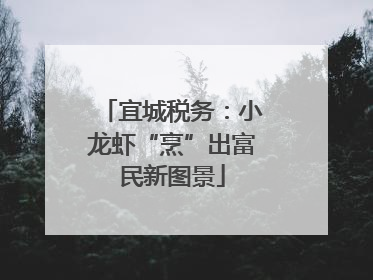 宜城税务：小龙虾“烹”出富民新图景
