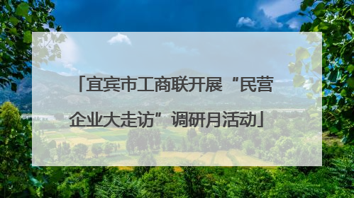 宜宾市工商联开展“民营企业大走访”调研月活动