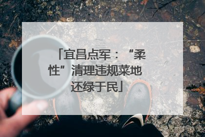 宜昌点军：“柔性”清理违规菜地 还绿于民