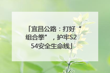 宜昌公路：打好“组合拳”，护牢S254安全生命线