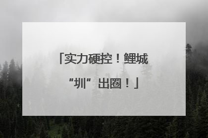 实力硬控！鲤城“圳”出圈！