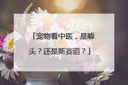 宠物看中医，是噱头？还是新赛道？