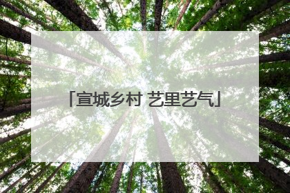宣城乡村 艺里艺气