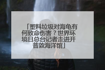 塑料垃圾对海龟有何致命伤害？世界环境日总台记者走进开普敦海洋馆