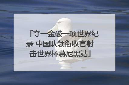夺一金破一项世界纪录 中国队领衔收官射击世界杯慕尼黑站
