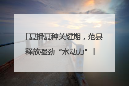 夏播夏种关键期，范县释放强劲“水动力”