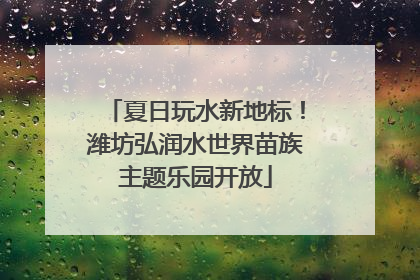 夏日玩水新地标！潍坊弘润水世界苗族主题乐园开放