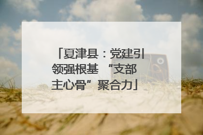 夏津县：党建引领强根基 “支部主心骨”聚合力