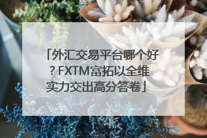 外汇交易平台哪个好？FXTM富拓以全维实力交出高分答卷