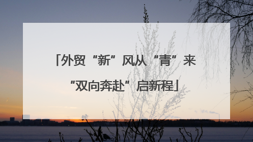 外贸“新”风从“青”来 “双向奔赴”启新程