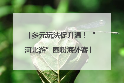 多元玩法促升温！“河北游”圈粉海外客