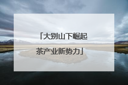 大别山下崛起茶产业新势力