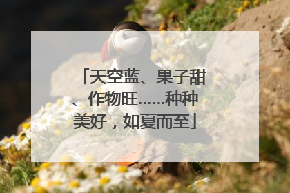 天空蓝、果子甜、作物旺……种种美好，如夏而至