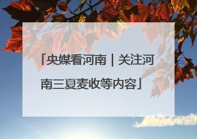 央媒看河南｜关注河南三夏麦收等内容
