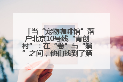 当“宠物咖啡馆”落户北京10号线“青创村”：在“卷”与“躺”之间，他们找到了第三种生活公式