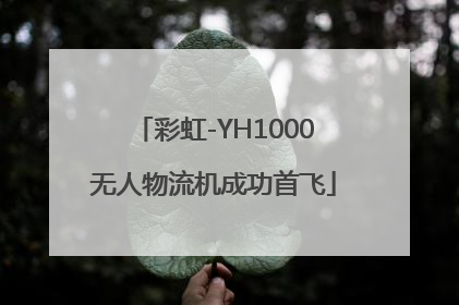 彩虹-YH1000无人物流机成功首飞