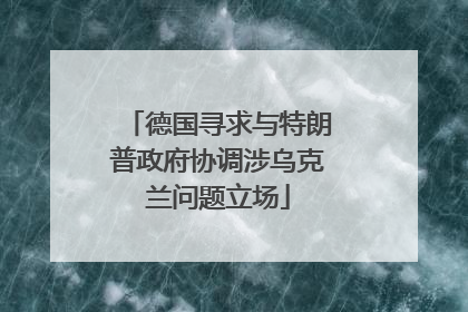 德国寻求与特朗普政府协调涉乌克兰问题立场