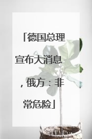 德国总理宣布大消息，俄方：非常危险