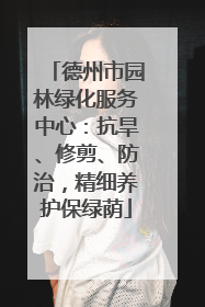 德州市园林绿化服务中心：抗旱、修剪、防治，精细养护保绿荫