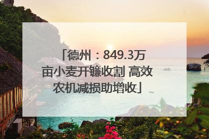 德州：849.3万亩小麦开镰收割 高效农机减损助增收