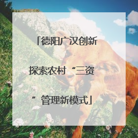 德阳广汉创新探索农村“三资”管理新模式
