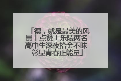 德，就是最美的风景丨点赞！乐陵两名高中生深夜拾金不昧 彰显青春正能量