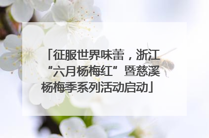 征服世界味蕾，浙江“六月杨梅红”暨慈溪杨梅季系列活动启动