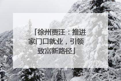 徐州贾汪：推进家门口就业，引领致富新路径