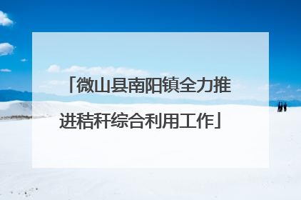 微山县南阳镇全力推进秸秆综合利用工作