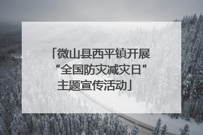 微山县西平镇开展“全国防灾减灾日”主题宣传活动
