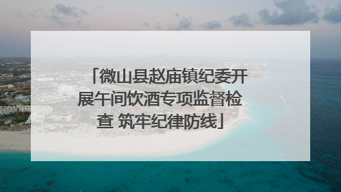 微山县赵庙镇纪委开展午间饮酒专项监督检查 筑牢纪律防线