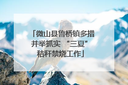 微山县鲁桥镇多措并举抓实 “三夏” 秸秆禁烧工作