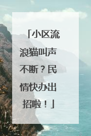 小区流浪猫叫声不断？民情快办出招啦！