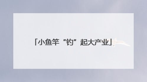 小鱼竿“钓”起大产业