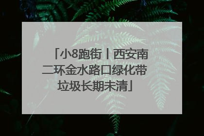 小8跑街丨西安南二环金水路口绿化带垃圾长期未清