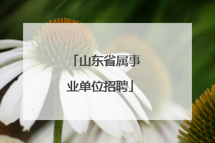 山东省属事业单位招聘
