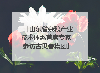 山东省杂粮产业技术体系首席专家参访古贝春集团