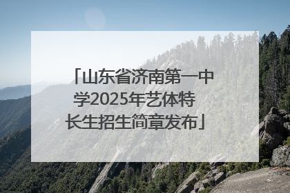 山东省济南第一中学2025年艺体特长生招生简章发布