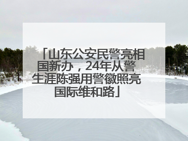 山东公安民警亮相国新办，24年从警生涯陈强用警徽照亮国际维和路