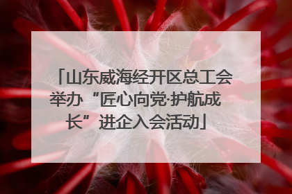山东威海经开区总工会举办“匠心向党·护航成长”进企入会活动