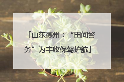 山东德州：“田间警务”为丰收保驾护航