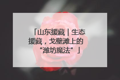 山东援藏｜生态援藏，戈壁滩上的“潍坊魔法”