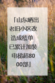 山东晒出老旧小区改造成绩单 已累计加装电梯超8000部