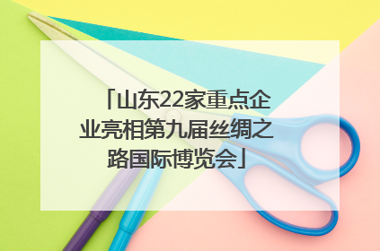 山东22家重点企业亮相第九届丝绸之路国际博览会