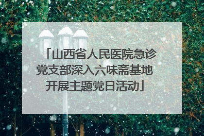 山西省人民医院急诊党支部深入六味斋基地开展主题党日活动