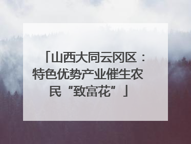 山西大同云冈区：特色优势产业催生农民“致富花”