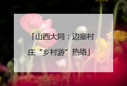 山西大同：边塞村庄“乡村游”热络