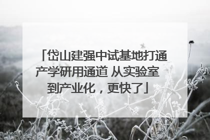 岱山建强中试基地打通产学研用通道 从实验室到产业化，更快了